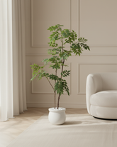 Artificial Feathery Leaf Tree Plant 150cm (5ft)